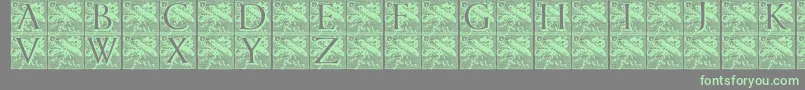 Шрифт Pompadourinitials – зелёные шрифты на сером фоне