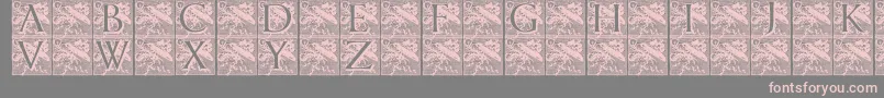 フォントPompadourinitials – 灰色の背景にピンクのフォント