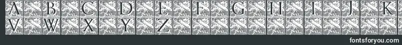 Pompadourinitials-fontti – valkoiset fontit