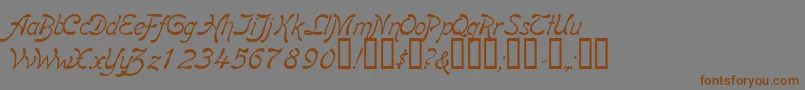 BoomerangItalic Font – Brown Fonts on Gray Background