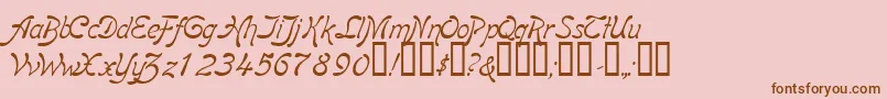 BoomerangItalic Font – Brown Fonts on Pink Background