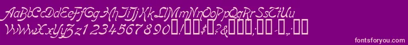 BoomerangItalic Font – Pink Fonts on Purple Background