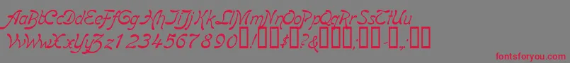 フォントBoomerangItalic – 赤い文字の灰色の背景
