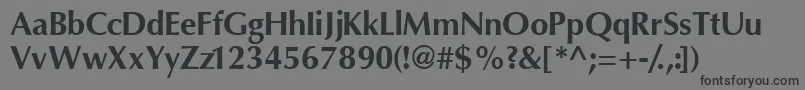 InterfacesskBold Font – Black Fonts on Gray Background