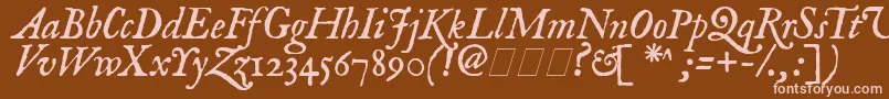 ImFellEnglishItalic Font – Pink Fonts on Brown Background