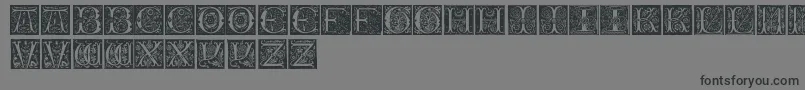 InitialsTfb Font – Black Fonts on Gray Background