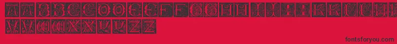 InitialsTfb Font – Black Fonts on Red Background