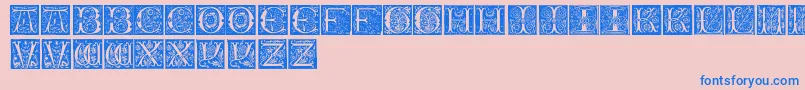 InitialsTfb Font – Blue Fonts on Pink Background