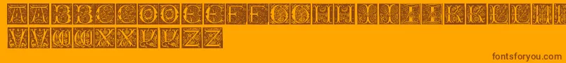 InitialsTfb Font – Brown Fonts on Orange Background