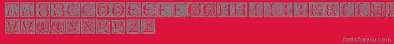 InitialsTfb Font – Gray Fonts on Red Background