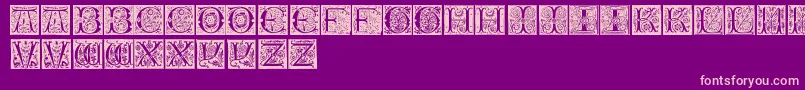 InitialsTfb Font – Pink Fonts on Purple Background