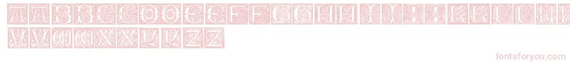 InitialsTfb Font – Pink Fonts on White Background