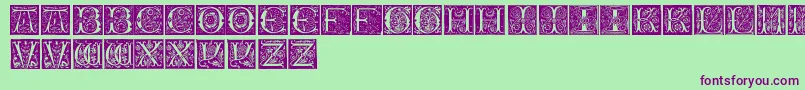 InitialsTfb Font – Purple Fonts on Green Background