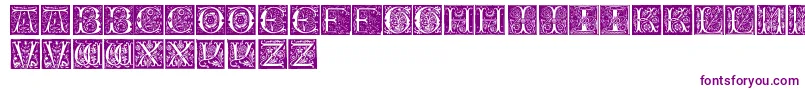 InitialsTfb-Schriftart – Violette Schriften