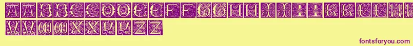 InitialsTfb Font – Purple Fonts on Yellow Background