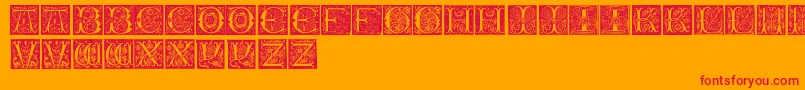InitialsTfb Font – Red Fonts on Orange Background