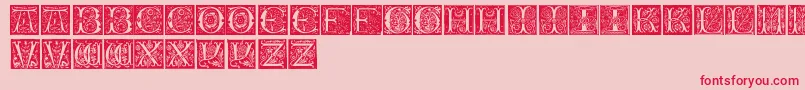 InitialsTfb Font – Red Fonts on Pink Background