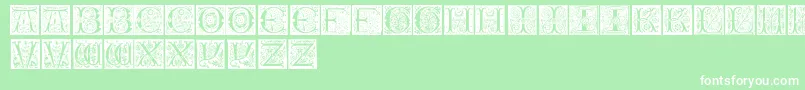 Шрифт InitialsTfb – белые шрифты на зелёном фоне