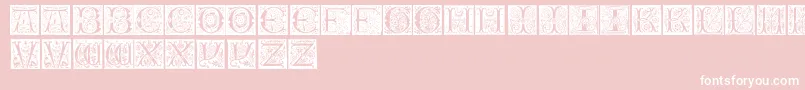 InitialsTfb Font – White Fonts on Pink Background
