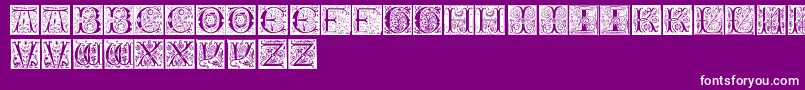 InitialsTfb Font – White Fonts on Purple Background