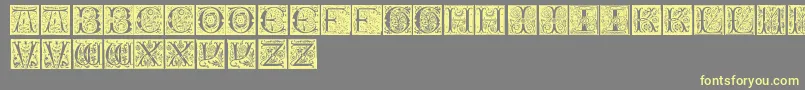 InitialsTfb Font – Yellow Fonts on Gray Background