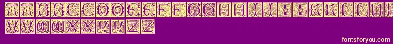 InitialsTfb Font – Yellow Fonts on Purple Background