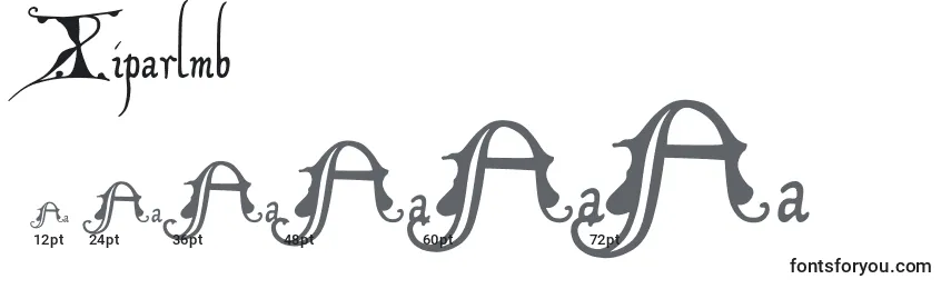 Xiparlmb Font Sizes