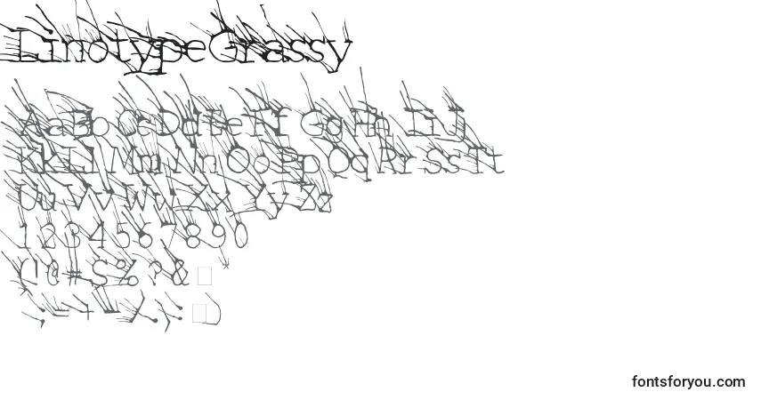 A fonte LinotypeGrassy – alfabeto, números, caracteres especiais
