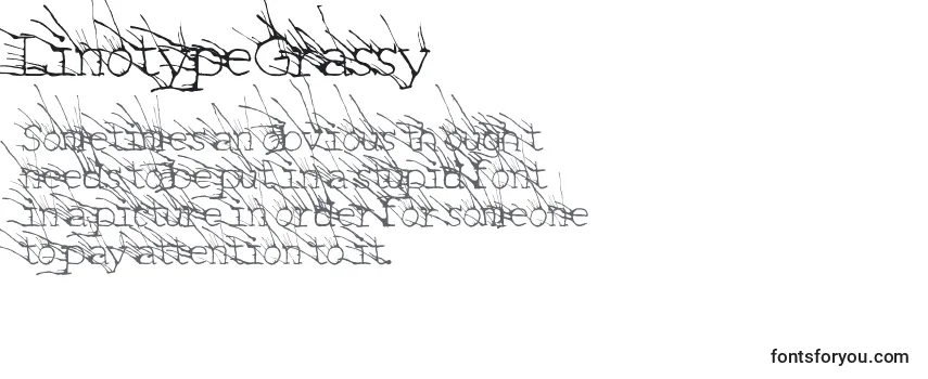 LinotypeGrassy-fontti
