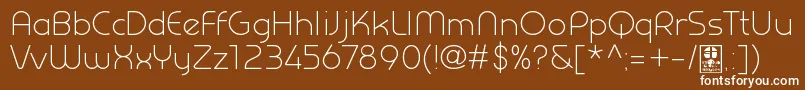 フォントPrestijLightDemo – 茶色の背景に白い文字