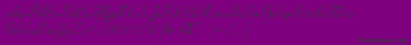 Wiegellateinmedium Font – Black Fonts on Purple Background