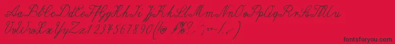 Wiegellateinmedium Font – Black Fonts on Red Background