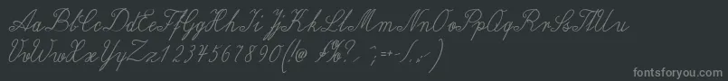 Wiegellateinmedium Font – Gray Fonts on Black Background