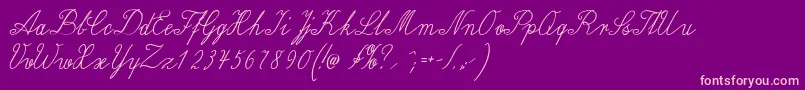 Wiegellateinmedium Font – Pink Fonts on Purple Background