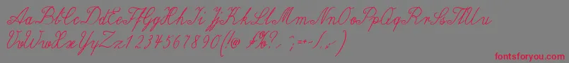 Wiegellateinmedium Font – Red Fonts on Gray Background