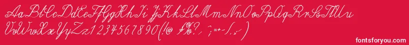Wiegellateinmedium Font – White Fonts on Red Background