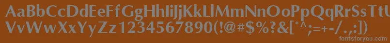 OmniBold Font – Gray Fonts on Brown Background