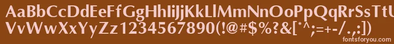 OmniBold Font – Pink Fonts on Brown Background