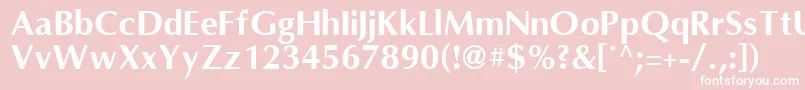 OmniBold Font – White Fonts on Pink Background