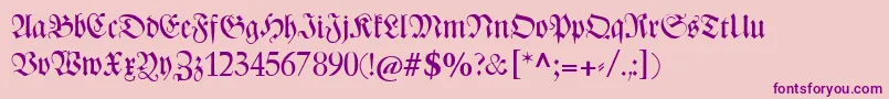 Catzentenaerfrakturunz1 Font – Purple Fonts on Pink Background