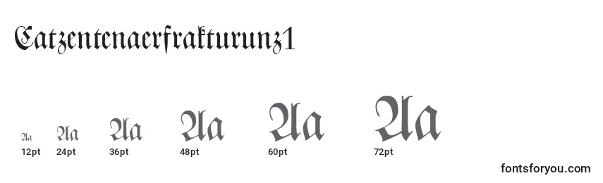 Размеры шрифта Catzentenaerfrakturunz1
