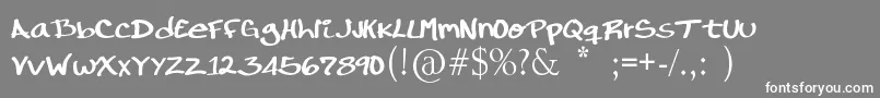 RondrsScript-Schriftart – Weiße Schriften auf grauem Hintergrund