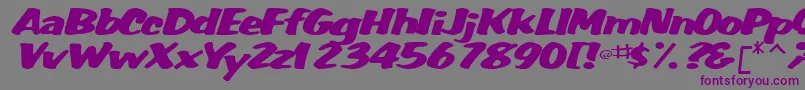 WummerlinscriptsskItalic Font – Purple Fonts on Gray Background