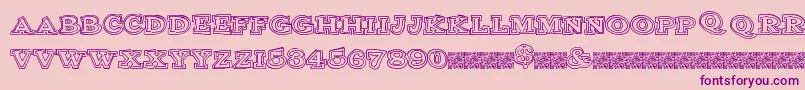 Clubsport Font – Purple Fonts on Pink Background