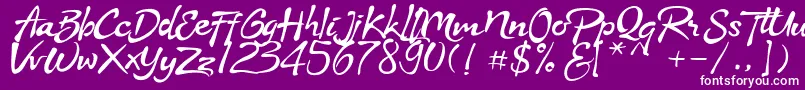 Stya Font – White Fonts on Purple Background