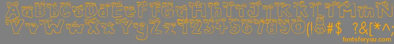 BlushBear Font – Orange Fonts on Gray Background