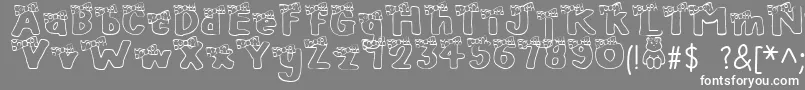 BlushBear Font – White Fonts on Gray Background