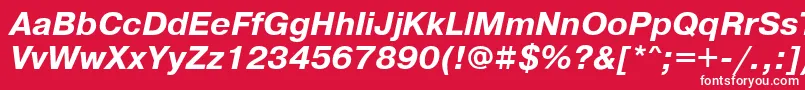 PragmaticadoscttBolditalic Font – White Fonts on Red Background