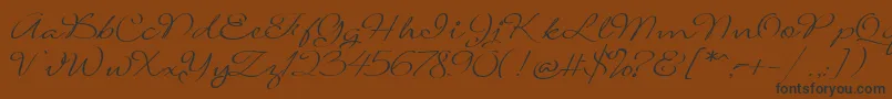 SignaritaLouisseLight-Schriftart – Schwarze Schriften auf braunem Hintergrund