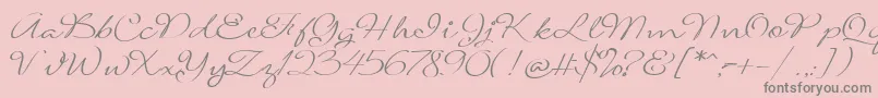 SignaritaLouisseLight Font – Gray Fonts on Pink Background